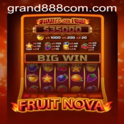 Unveiling the Exciting World of FruitNova: A Thrilling Adventure