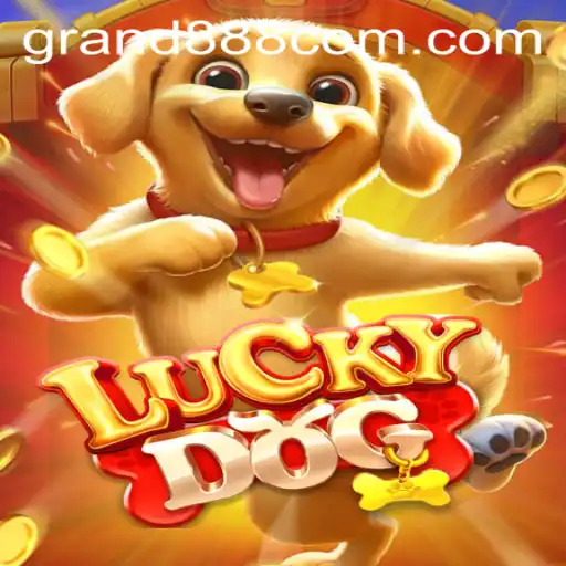 Exploring the Thrilling World of LuckyDog with GRAND888